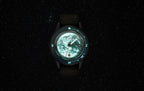 AV86 Earthrise WWF Partnership Limited Edition