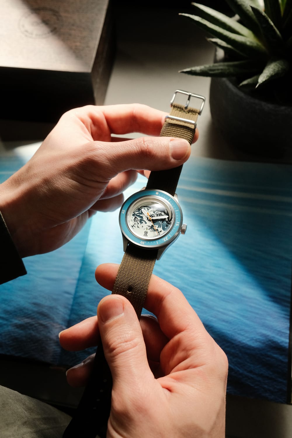 AV86 Earthrise WWF Partnership Limited Edition