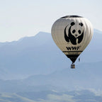 AV86 Earthrise WWF Partnership Limited Edition